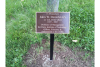 Bronze Plaques with Stakes #4