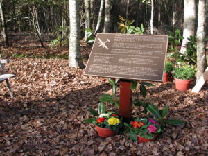 Bronze memorial plaque with engraved airplane design in forest setting by Metal Designs