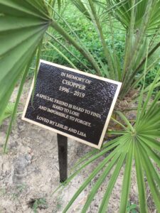 Bronze pet memorial plaque for Chopper with engraved tribute in garden setting