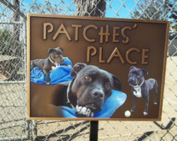 Bronze Plaques with Faces and Photos #70