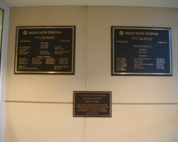 Bronze Plaques #53