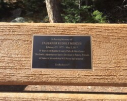 Etched and Engraved #37