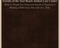 MD-4998-Proof-REV04-Plate