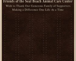 Pet Memorial Plaque #11 Rectangular memorial board, single line border, color images of pets on top, and holes pre drilled for future plates.