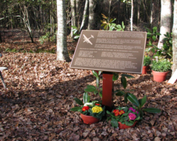 Memorial Garden Plaques #6