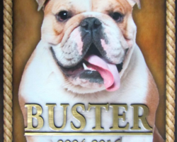Pet Memorial Plaque #6 Bronze plaque with a rope border and color photo.