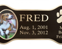 Pet Memorial Plaque #1 Bone shaped bronze plaque, single line border, cast leather texture. Etched color photo with raised dog print.