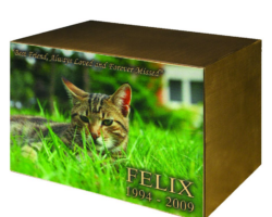 Pet Memorial Plaques #3