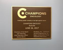 Bronze Plaques #56