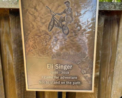 Photo Engraved Bronze Plaques #11 bronze plaque, flat band border, oxidized background, text and images