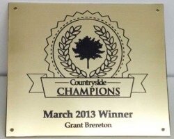 Etched and Engraved #36