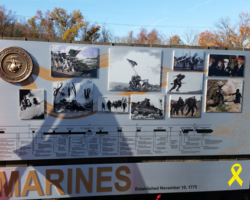 MILITARY PLAQUES & EMBLEMS #55