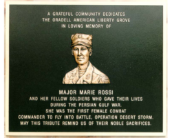 Bronze Military Plaques and Seals #32