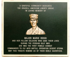 MILITARY PLAQUES & EMBLEMS #33 CAST BRONZE PLAQUE WITH A FLAT BAND BORDER, BROWN COLOR, BAS-RELIEF PORTRAIT