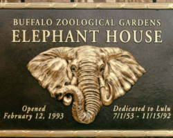 Bronze Plaques with Faces and Photos #16