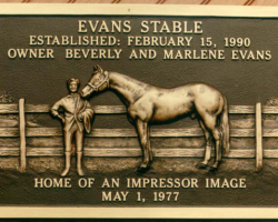 Bronze Plaques with Faces and Photos #24