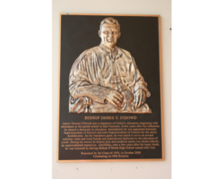 Bronze Plaques with Faces and Photos #27