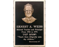 Bronze Plaques with Faces and Photos #49