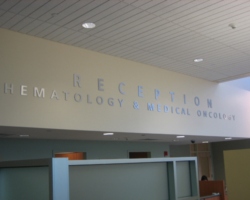 Cut Bronze, Brass, Aluminum & Stainless Steel Letters #38