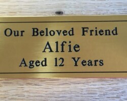 Etched and Engraved #38