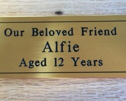 Etched and Engraved #38