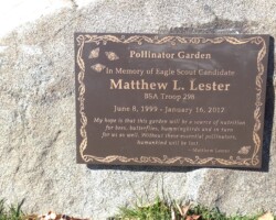 Bronze Memorial Plaque