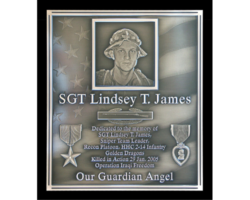 Photo Engraved Bronze Plaques #22