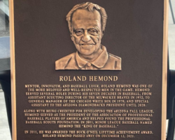 Photo #62 Bronze plaque with a Sculpted Portrait, flat band border, brown background, leather background texture, concealed mounting.