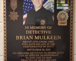 Photo Engraved Bronze Plaques #2 Bronze plaque with a flat relief border, Brown background color, color images. Studs on back for mounting.