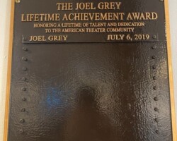Bronze Award Plaque