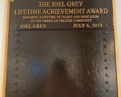 Bronze Award Plaque